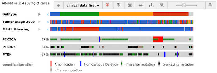 Oncoprint with multiple clinical tracks