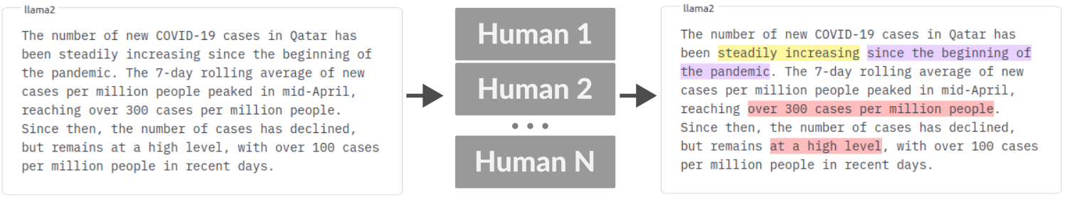 Human eval